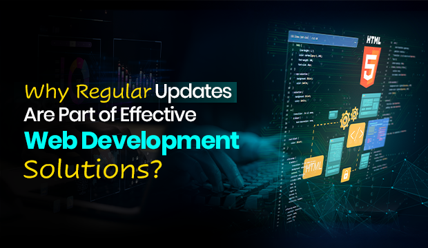 Why Regular Updates Are Part of Effective Web Development Solutions?