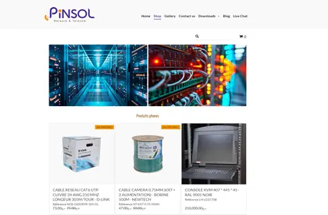 Pinsol