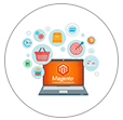 Custom Magento Website Development Services